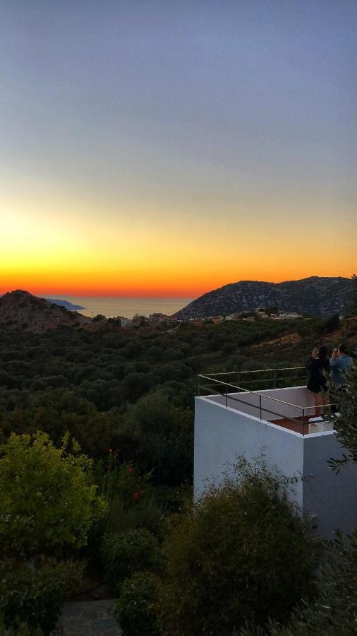 Mourtzanakis Residence - Traditional Eco Hotel In Akhládha Kültér fotó