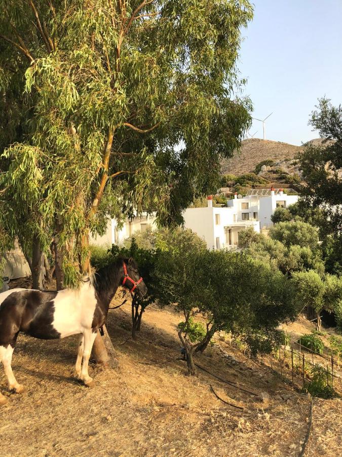 Mourtzanakis Residence - Traditional Eco Hotel In Akhládha Kültér fotó